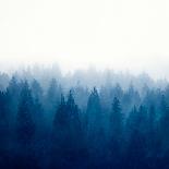 Heart and Soul - Foggy Forest-Dirk Wüstenhagen-Photographic Print