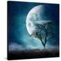 Stretched Canvas