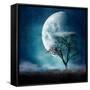 Canvas Black