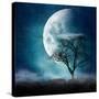 Stretched Canvas