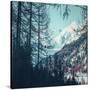 Stretched Canvas