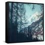 Canvas Black