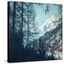 Stretched Canvas