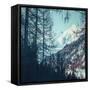 Canvas Black