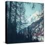 Stretched Canvas