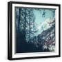 Black Frame