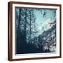 Brown Frame
