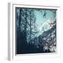 White Frame