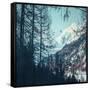 Canvas Black
