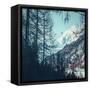 Canvas Black