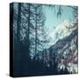 Stretched Canvas