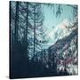 Stretched Canvas