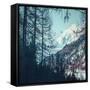 Canvas Black