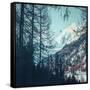 Canvas Black
