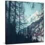 Stretched Canvas