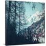 Stretched Canvas