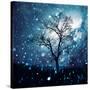 Stretched Canvas