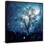 Canvas Black
