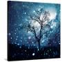 Stretched Canvas