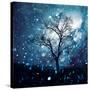 Stretched Canvas