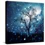 Stretched Canvas