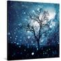 Stretched Canvas