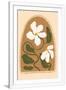 Gramercy White