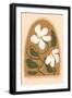 Black Frame