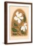 Brown Frame