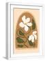 White Frame