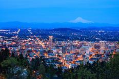 St. John's Bridge in Portland Oregon, Usa-diro-Photographic Print