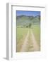 Dirt Driveway to Western Ranch-Joseph Sohm-Framed Photographic Print