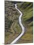 Dirt Road and Moss Covered Mountains, Landmannalaugar, Southern Highlands, Iceland-Peter Adams-Mounted Photographic Print