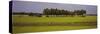 Dirt Road Passing Through a Field, Pondicherry, Tamil Nadu, India-null-Stretched Canvas