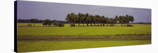 Dirt Road Passing Through a Field, Pondicherry, Tamil Nadu, India-null-Stretched Canvas