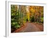 Dirt road passing through a forest, Keweenaw Peninsula, Upper Peninsula, Alger County, Michigan...-null-Framed Photographic Print