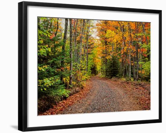 Dirt road passing through a forest, Keweenaw Peninsula, Upper Peninsula, Alger County, Michigan...-null-Framed Photographic Print