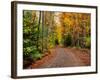 Dirt road passing through a forest, Keweenaw Peninsula, Upper Peninsula, Alger County, Michigan...-null-Framed Photographic Print
