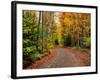 Dirt road passing through a forest, Keweenaw Peninsula, Upper Peninsula, Alger County, Michigan...-null-Framed Photographic Print