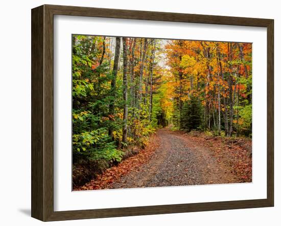 Dirt road passing through a forest, Keweenaw Peninsula, Upper Peninsula, Alger County, Michigan...-null-Framed Photographic Print