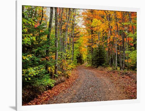 Dirt road passing through a forest, Keweenaw Peninsula, Upper Peninsula, Alger County, Michigan...-null-Framed Photographic Print