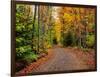 Dirt road passing through a forest, Keweenaw Peninsula, Upper Peninsula, Alger County, Michigan...-null-Framed Photographic Print