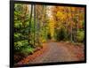 Dirt road passing through a forest, Keweenaw Peninsula, Upper Peninsula, Alger County, Michigan...-null-Framed Photographic Print