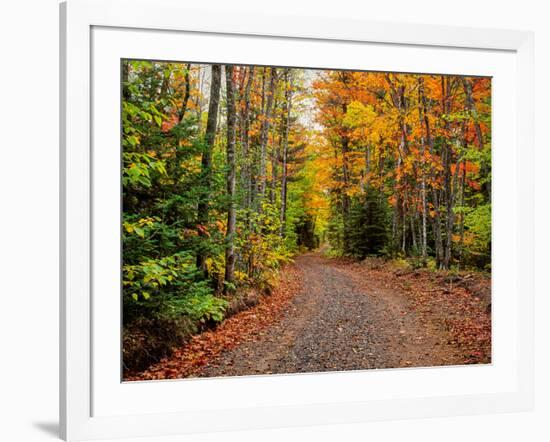 Dirt road passing through a forest, Keweenaw Peninsula, Upper Peninsula, Alger County, Michigan...-null-Framed Photographic Print