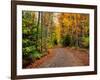 Dirt road passing through a forest, Keweenaw Peninsula, Upper Peninsula, Alger County, Michigan...-null-Framed Photographic Print