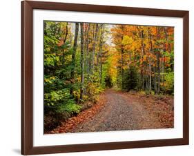 Dirt road passing through a forest, Keweenaw Peninsula, Upper Peninsula, Alger County, Michigan...-null-Framed Photographic Print