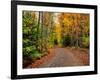 Dirt road passing through a forest, Keweenaw Peninsula, Upper Peninsula, Alger County, Michigan...-null-Framed Photographic Print