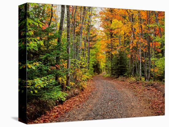 Dirt road passing through a forest, Keweenaw Peninsula, Upper Peninsula, Alger County, Michigan...-null-Stretched Canvas