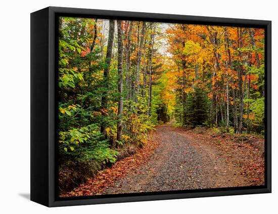 Dirt road passing through a forest, Keweenaw Peninsula, Upper Peninsula, Alger County, Michigan...-null-Framed Stretched Canvas