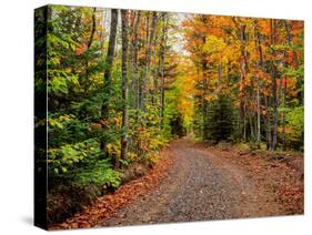 Dirt road passing through a forest, Keweenaw Peninsula, Upper Peninsula, Alger County, Michigan...-null-Stretched Canvas